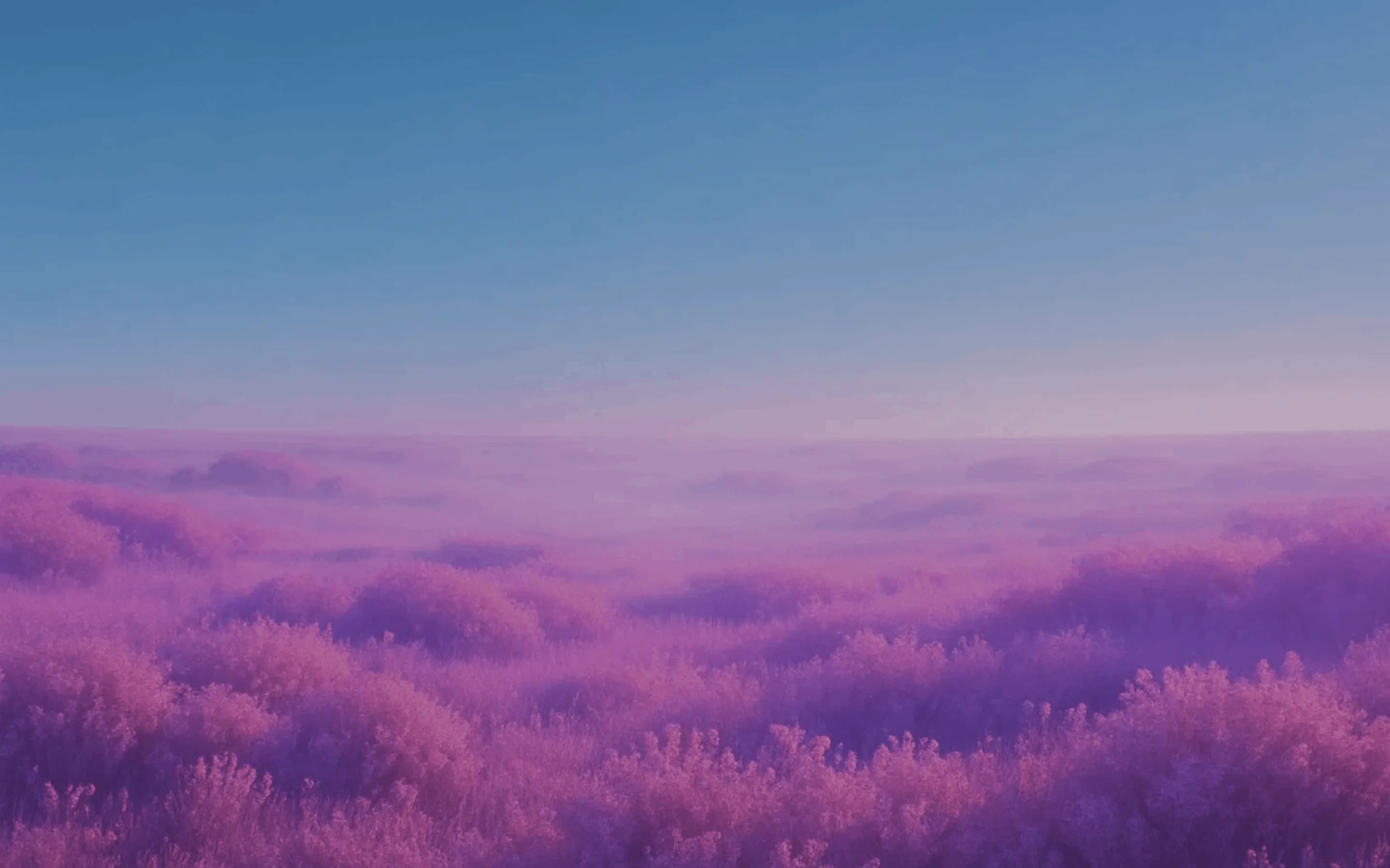 Hero background